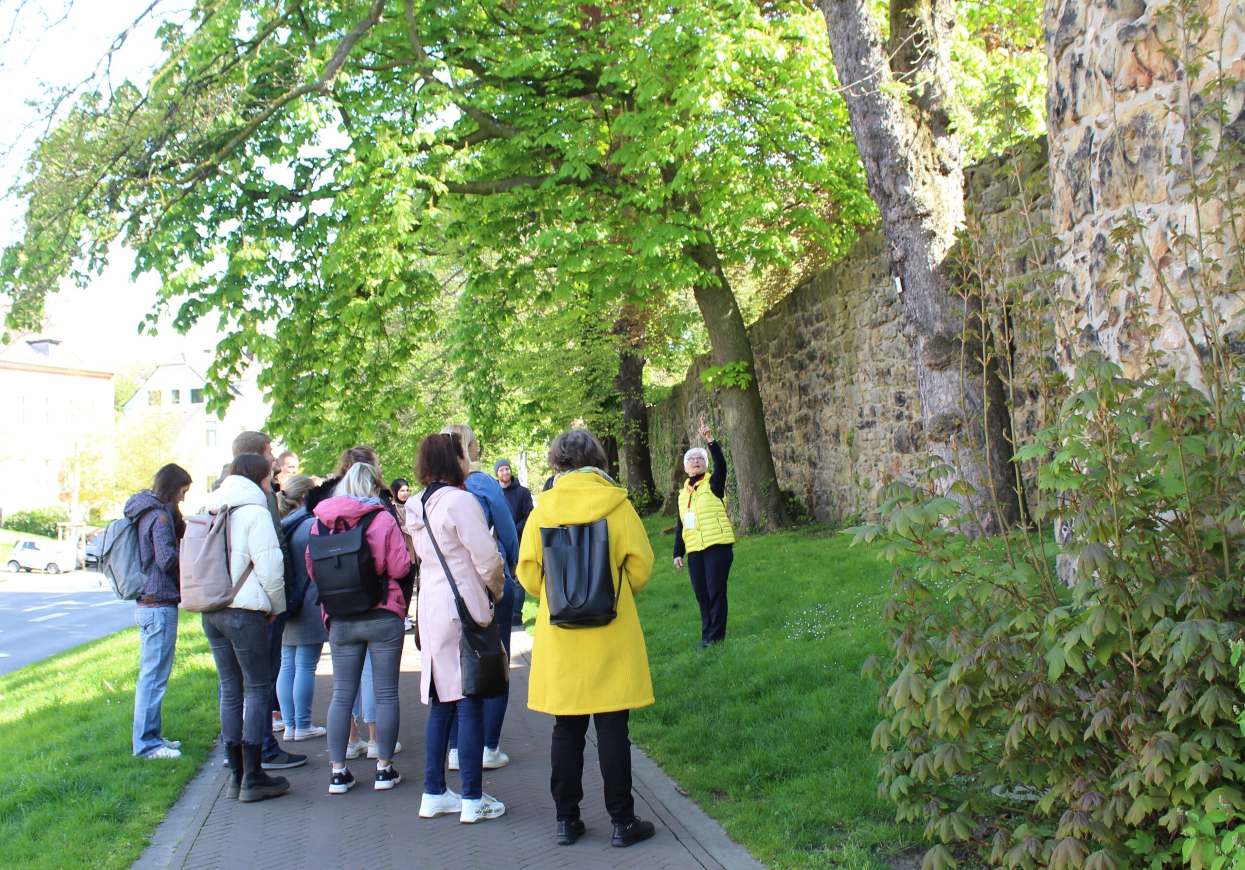 Eine Stadtführerin steht unter grün belaubten Bäumen an der historischen Stadtmauer der Recklinghäuser Altstadt und erläutert einer Gruppe von Gästen Details des Bauwerks. 